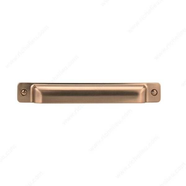 Richelieu Transitional Metal Pull - 8716