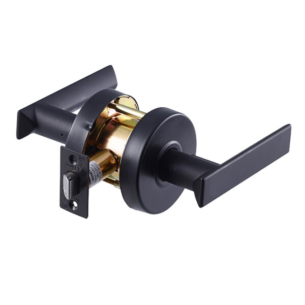 Dorex T2F10 19 Flat Medium-Duty Passage Lever – Matte Black