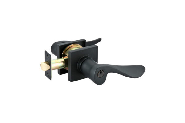 Emtek Luzern Keyed Lever Modern Brass - Image 3