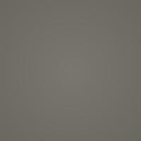 Pewter Antique (PTA)