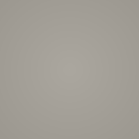 Pewter Light (PTL)